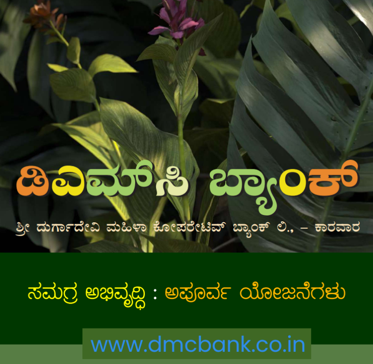 DMC Bank Brochure